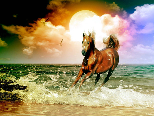 605057 (a): :1600x1200